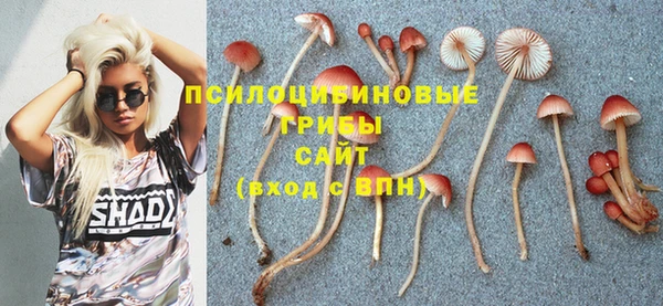 прущая мука Абдулино