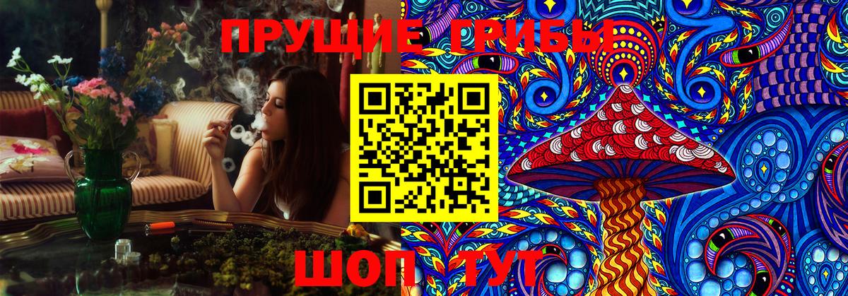 Псилоцибиновые грибы GOLDEN TEACHER  Вход с VPN  Кимовск  Псилоцибиновые грибы Psilocybine cubensis 