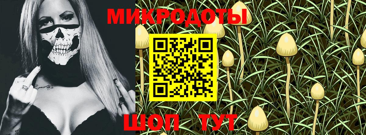Псилоцибиновые грибы мицелий Кимовск